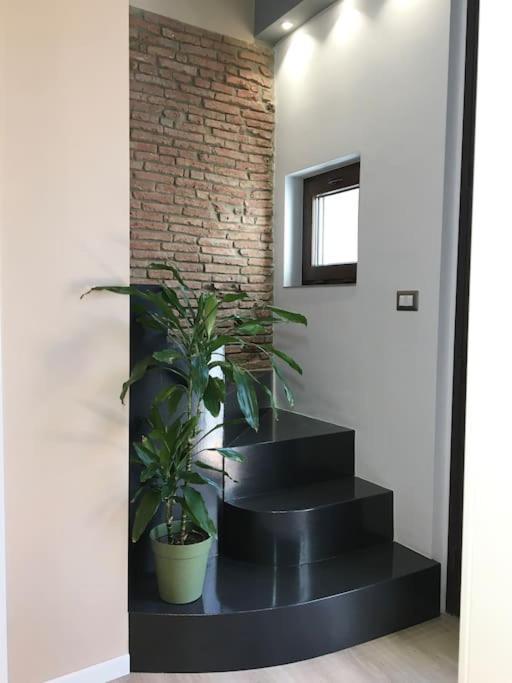 Villa Domus 25 CTA Exterior foto